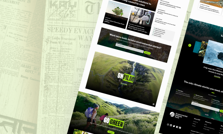 Screenshot of the Vital Signs Website with newspaper background