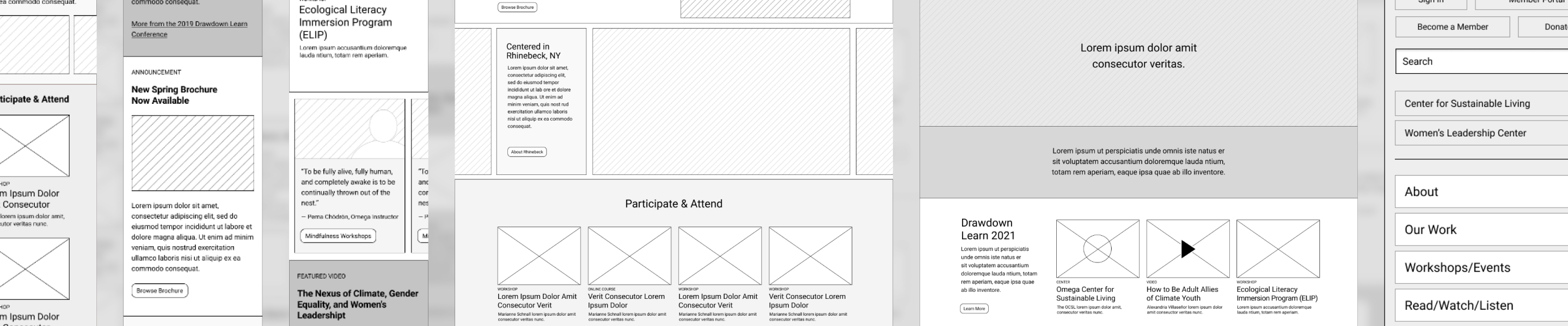 Wireframes for Omega website