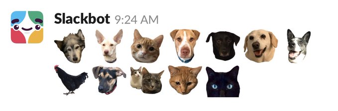 Savas Labs slack bot pets