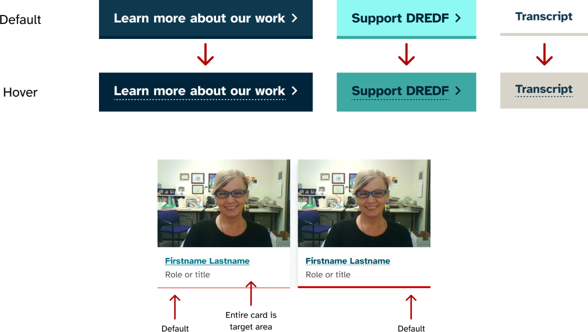 Design elements that were created for the DREDF site that demonstrate disambiguation