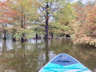 Stand up paddling boarding with colorful leaves