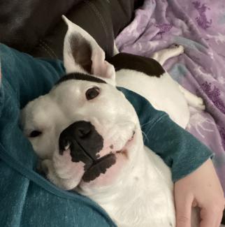Daisy face
