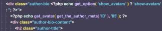 Code from WordPress's basic install